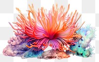 PNG Sea nature reef