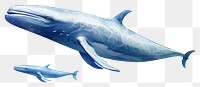 PNG Whale animal mammal shark. AI generated Image by rawpixel.