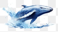 PNG Whale animal mammal fish. AI generated Image by rawpixel.