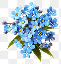 PNG Flower blossom plant transparent background