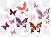 PNG Butterfly animal insect petal
