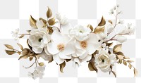 PNG Flower plant transparent background