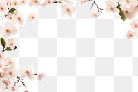 PNG Flower backgrounds blossom plant. AI generated Image by rawpixel.