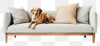 PNG Dog furniture cushion mammal. AI generated Image by rawpixel.