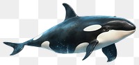 PNG Animal mammal orca fish, digital paint illustration. 