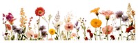 PNG Flower backgrounds outdoors blossom transparent background