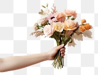 PNG Flower hand holding plant transparent background