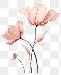 PNG  Drawing flower sketch petal. AI generated Image by rawpixel.