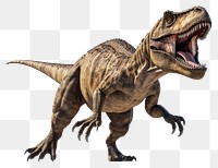 PNG Dinosaur reptile animal transparent background.