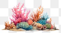 PNG Underwater nature ocean reef. 