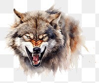 PNG Wolf mammal animal aggression transparent background