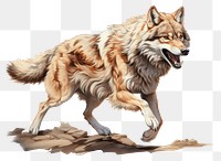 PNG Wolf animal mammal coyote transparent background