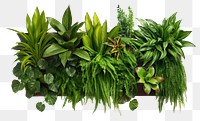 PNG Plant planter nature garden. AI generated Image by rawpixel.