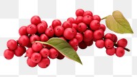 PNG Plant fruit leaf food. AI generated Image by rawpixel.