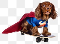 PNG Skateboard superhero spaniel mammal transparent background