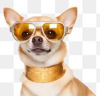 PNG Chihuahua glasses sunglasses mammal transparent background