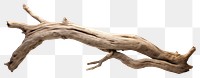 PNG Driftwood branch kangaroo