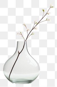 PNG Vase glass transparent background transparent. AI generated Image by rawpixel.