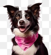 PNG Dog mammal animal pink. AI generated Image by rawpixel.