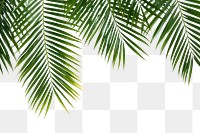 PNG Backgrounds outdoors nature plant transparent background