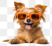 PNG Sunglasses pet dog mammal. 