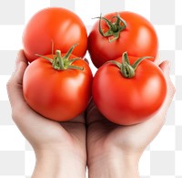 PNG Tomato vegetable fruit plant. 