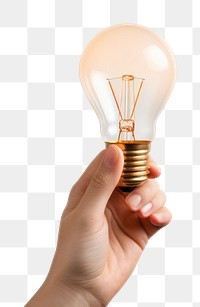 PNG Light lightbulb holding hand. 