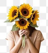 PNG  Sunflower plant adult inflorescence. AI generated Image by rawpixel.