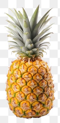 PNG Pineapple fruit plant food. 