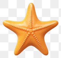 PNG Starfish white background invertebrate simplicity. 