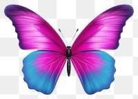 PNG Butterfly animal insect purple. 