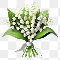 PNG Flower plant white arrangement. 