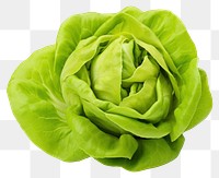 PNG Vegetable lettuce plant food. 