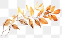 PNG Plant leaf creativity graphics. AI generated Image by rawpixel.