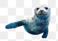 PNG Seal animal mammal blue, digital paint illustration.