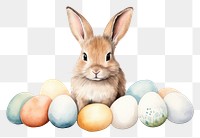 PNG Egg rodent animal mammal transparent background