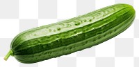 PNG Vegetable cucumber plant food