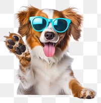 PNG Dog sunglasses spaniel mammal. 