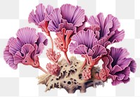 PNG Purple coral, digital paint illustration. AI generated image