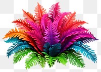 PNG Plant leaf fern transparent background. AI generated Image by rawpixel.