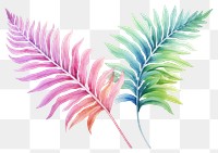 PNG Fern plant leaf transparent background. AI generated Image by rawpixel.