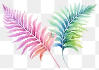 PNG Fern plant leaf transparent background. 