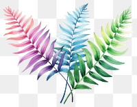 PNG Fern plant leaf transparent background. 