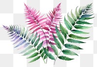 PNG Fern plant leaf transparent background. 