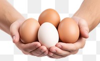 PNG Food egg simplicity fragility. AI generated Image by rawpixel.