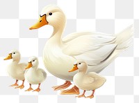 PNG Duck animal goose white. AI generated Image by rawpixel.