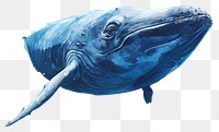 PNG Whale animal mammal fish, digital paint illustration.