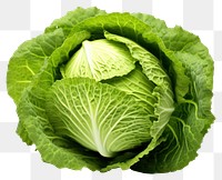 PNG Vegetable cabbage plant food. 