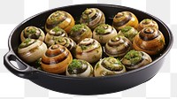 PNG Escargots food seafood white background. AI generated Image by rawpixel.