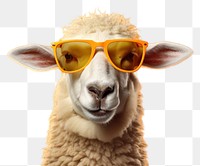 PNG Sunglasses livestock animal mammal. AI generated Image by rawpixel.